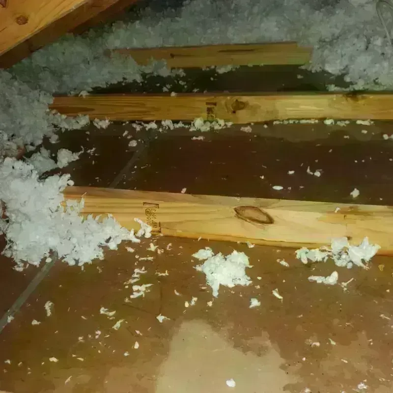 Attic Water Damage in Pinellas Park, FL