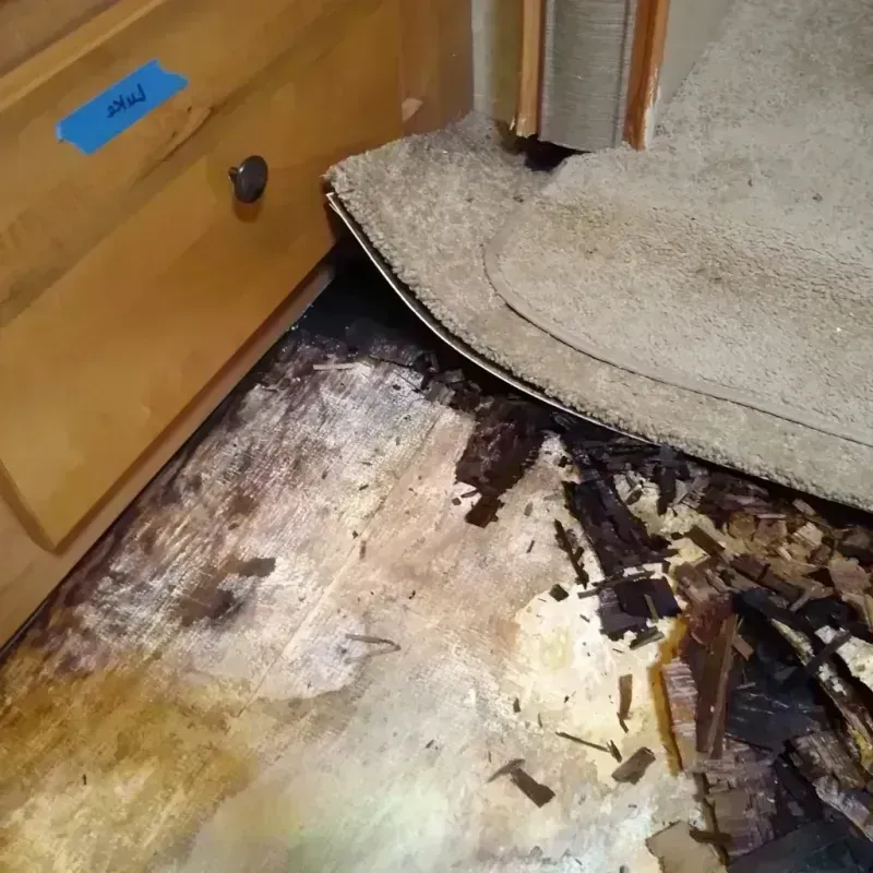 Wood Floor Water Damage in Pinellas Park, FL